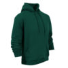 Unisex Phoenix Hoodie