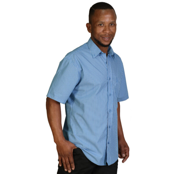 CAS2S5 model - sky Cameron Shirt Short Sleeve - Stripe 5