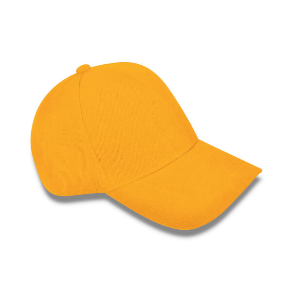 CM5894~1 Heavy Duty Cap