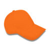 CMB8AF~1 Heavy Duty Cap